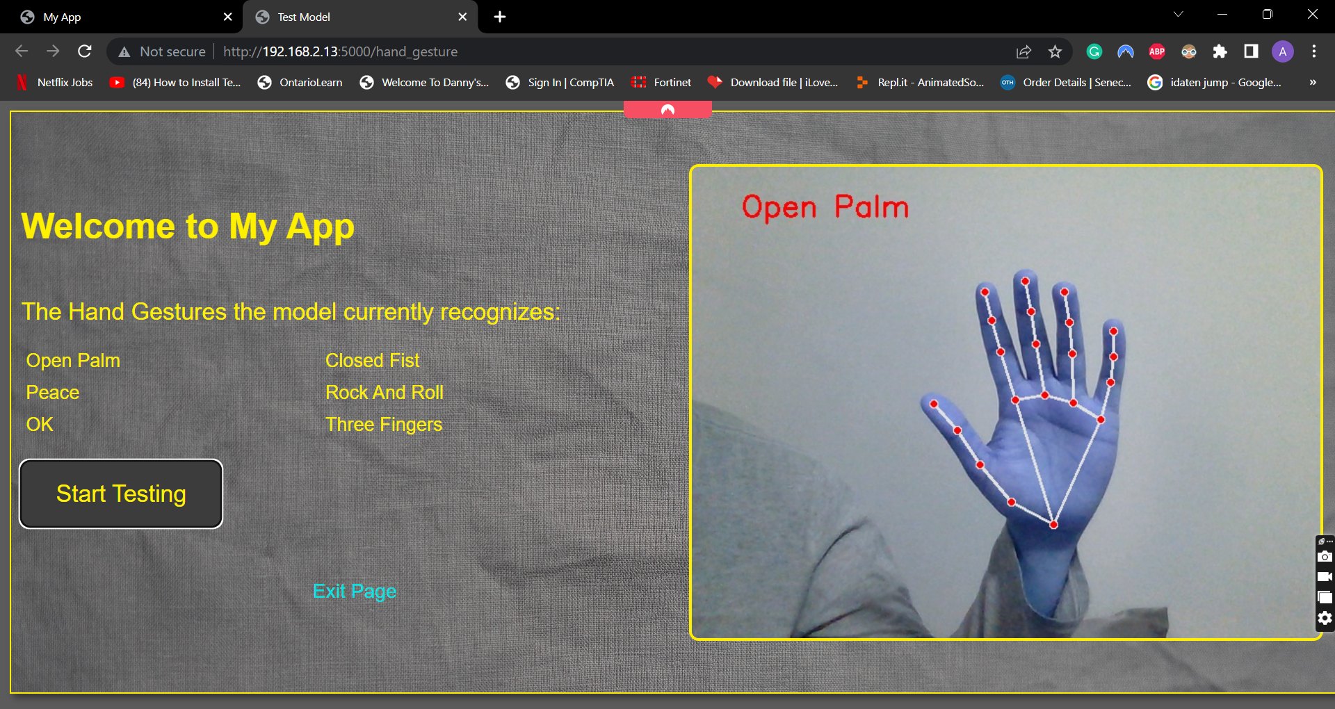 Hand Gesture Recognition